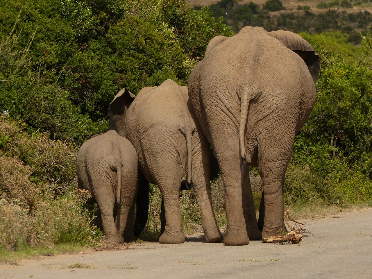 How to Support Local Communities in South Africa’s Cape Winelands